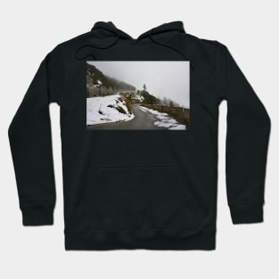 Autumn on the Slopes of Mangrt Hoodie